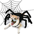 Dog wearing a giant spider costume