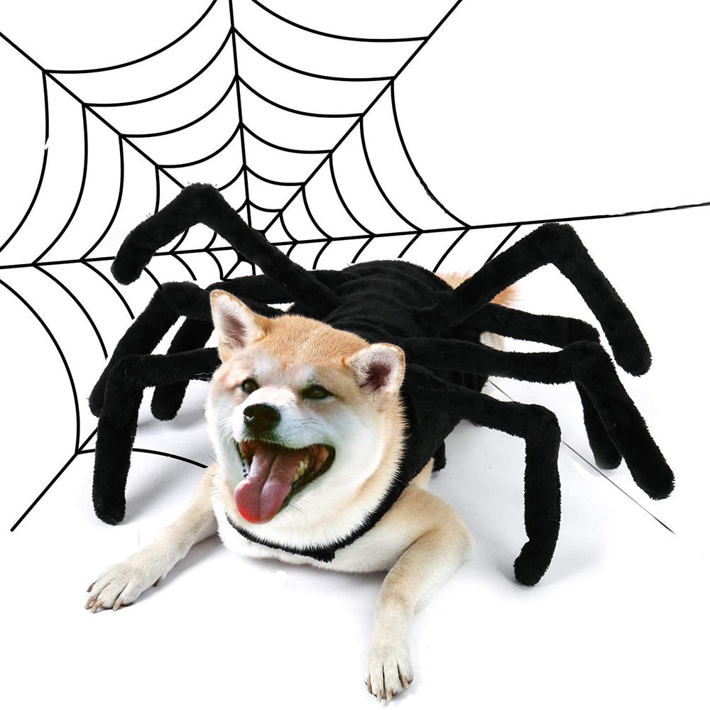 Dog wearing a giant spider costume