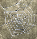 Stretchy spider web decoration