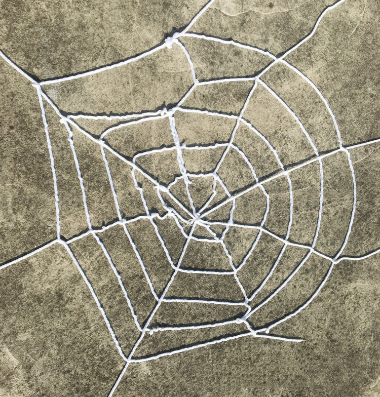 Stretchy spider web decoration