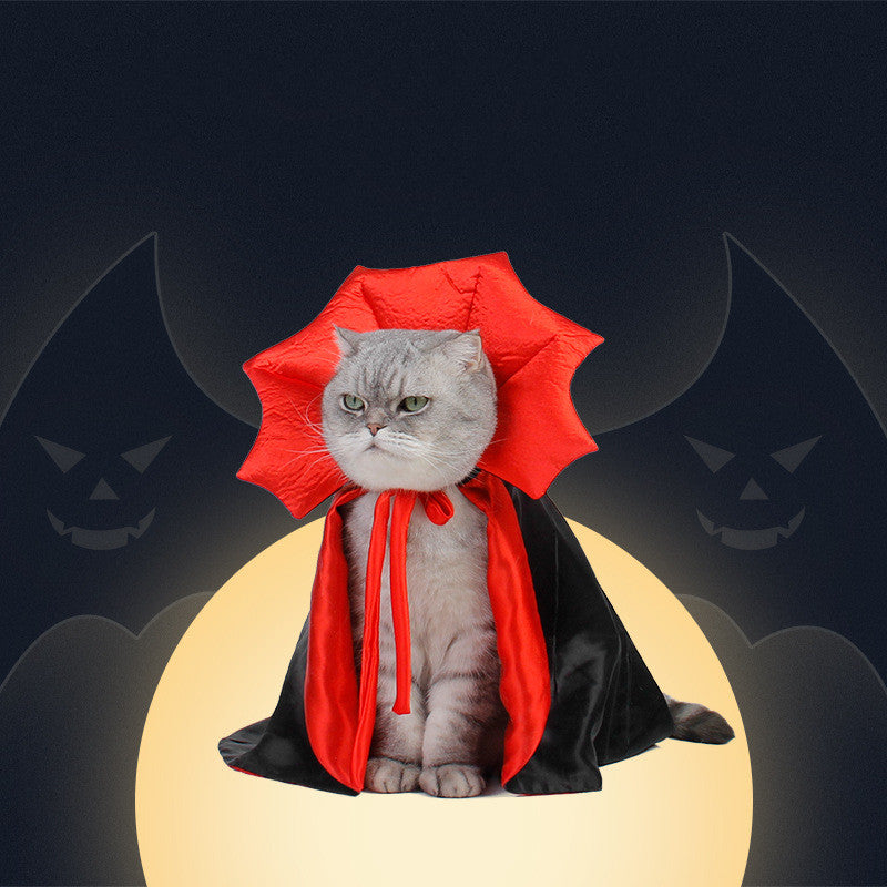 Cat wearing a vampire cape