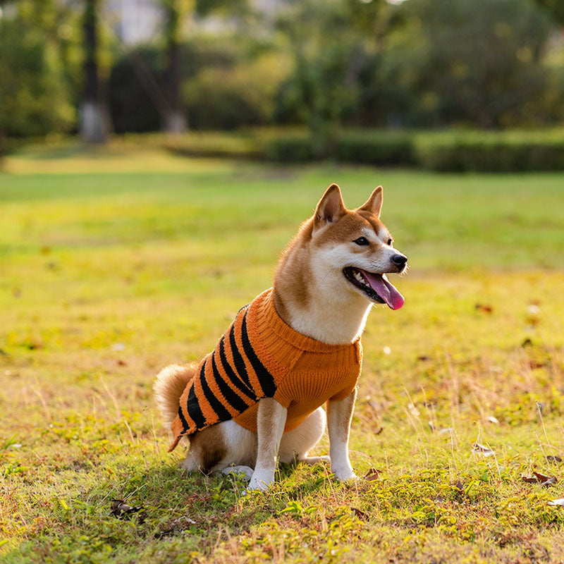 Striped dog jumper side view