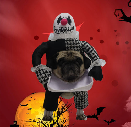 Creepy clown pet costume