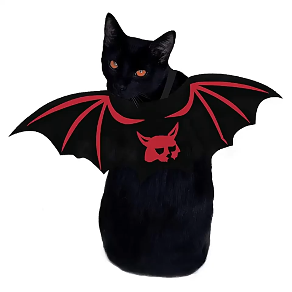 Pet bat wings costume